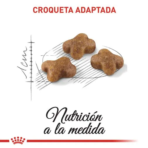Alimento para gato Royal Canin Kitten - Image 2