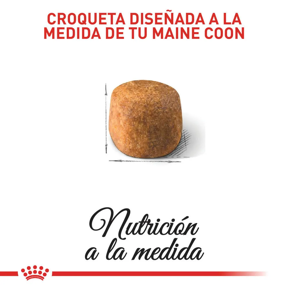 Alimento para gato Royal Canin Maine Coon Adulto - Image 2