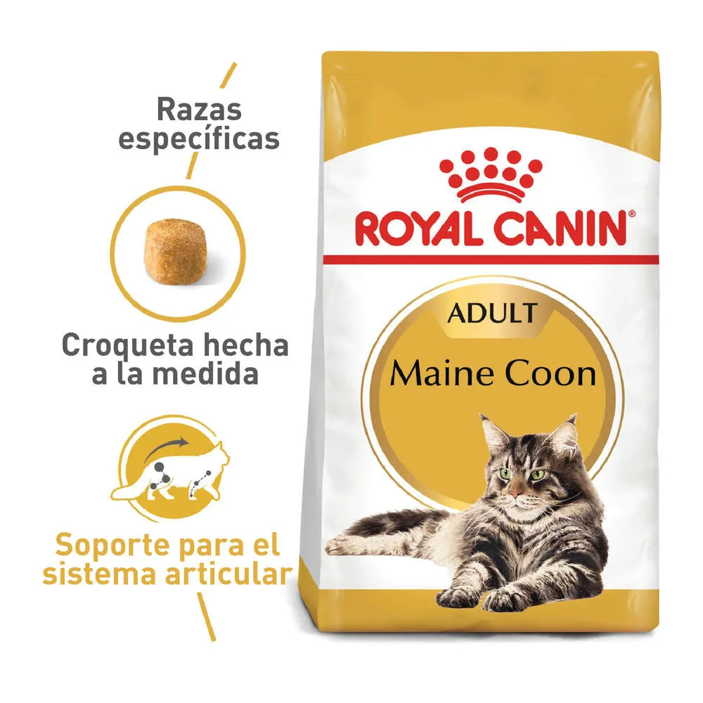 Alimento para gato Royal Canin Maine Coon Adulto - Image 4