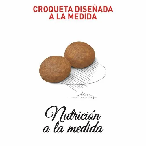 Alimento para perro Royal Canin Medium Adulto - Image 2