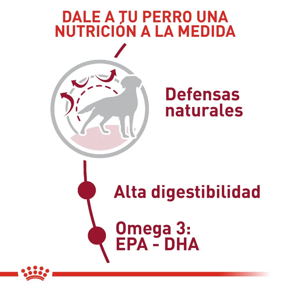 Alimento para perro Royal Canin Medium Adulto - Image 3
