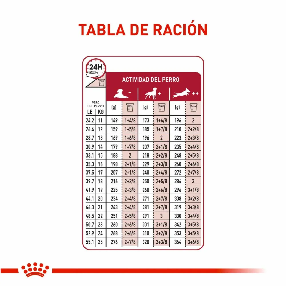 Alimento para perro Royal Canin Medium Adulto - Image 5