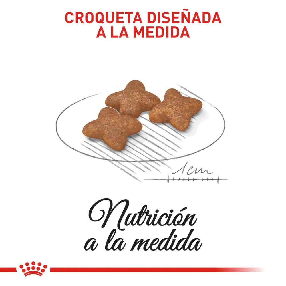 Alimento Seco Royal Canin para Perro Mini Adulto - Image 2