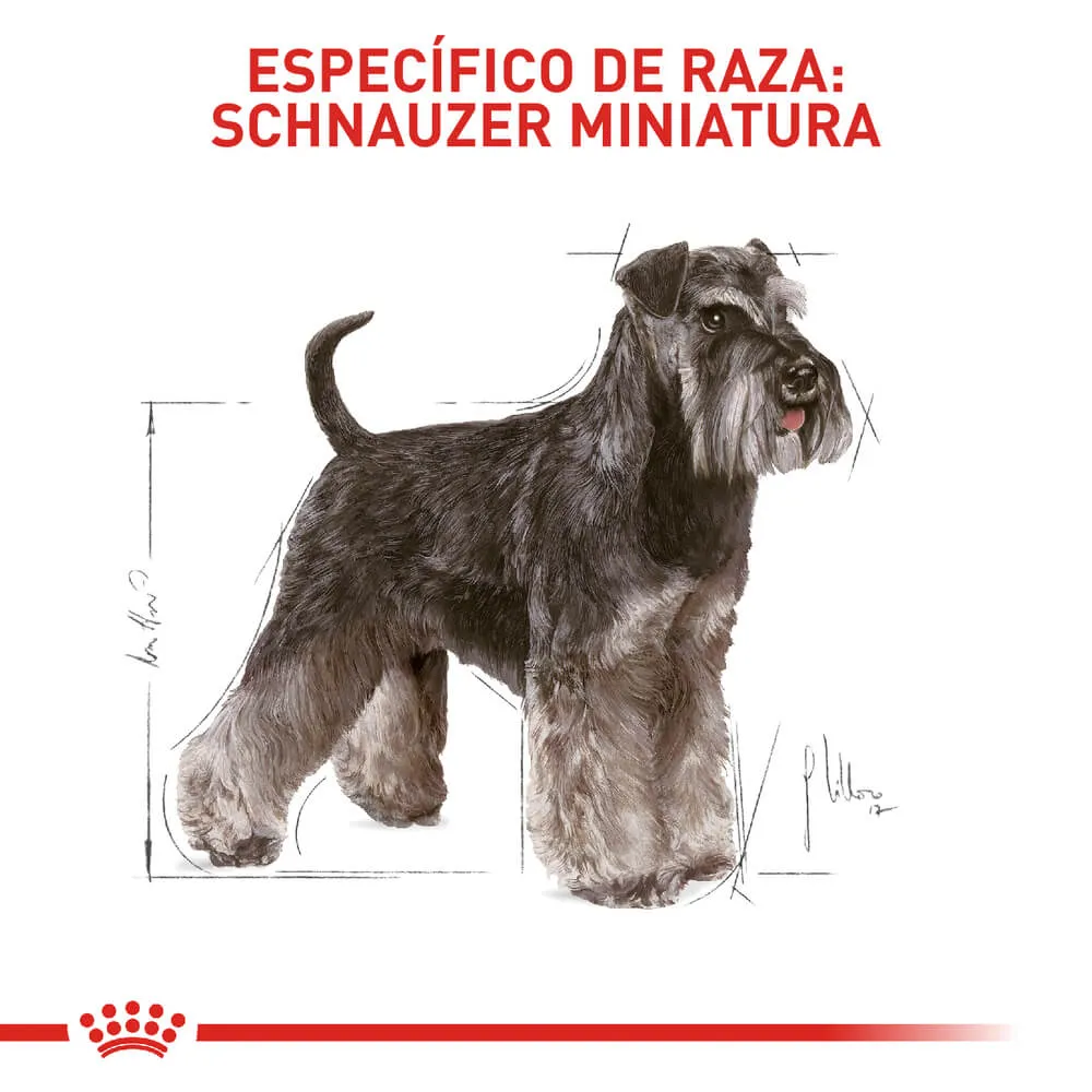 Alimento para perro Royal Canin Miniature Schnawzer - Image 3