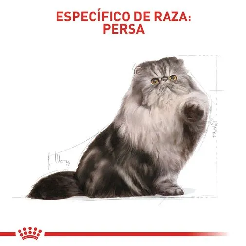 Alimento para gato Royal Canin Persa Adulto - Image 2