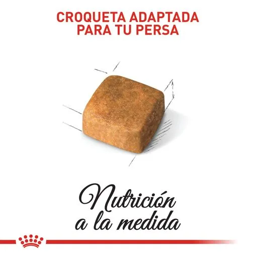 Alimento para gato Royal Canin Persa Cachorro - Image 2