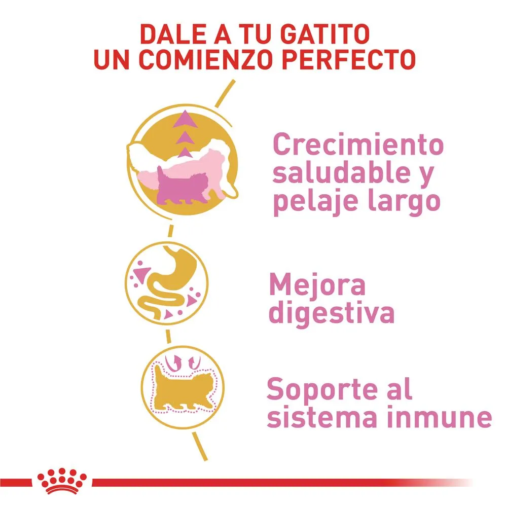 Alimento para gato Royal Canin Persa Cachorro - Image 4