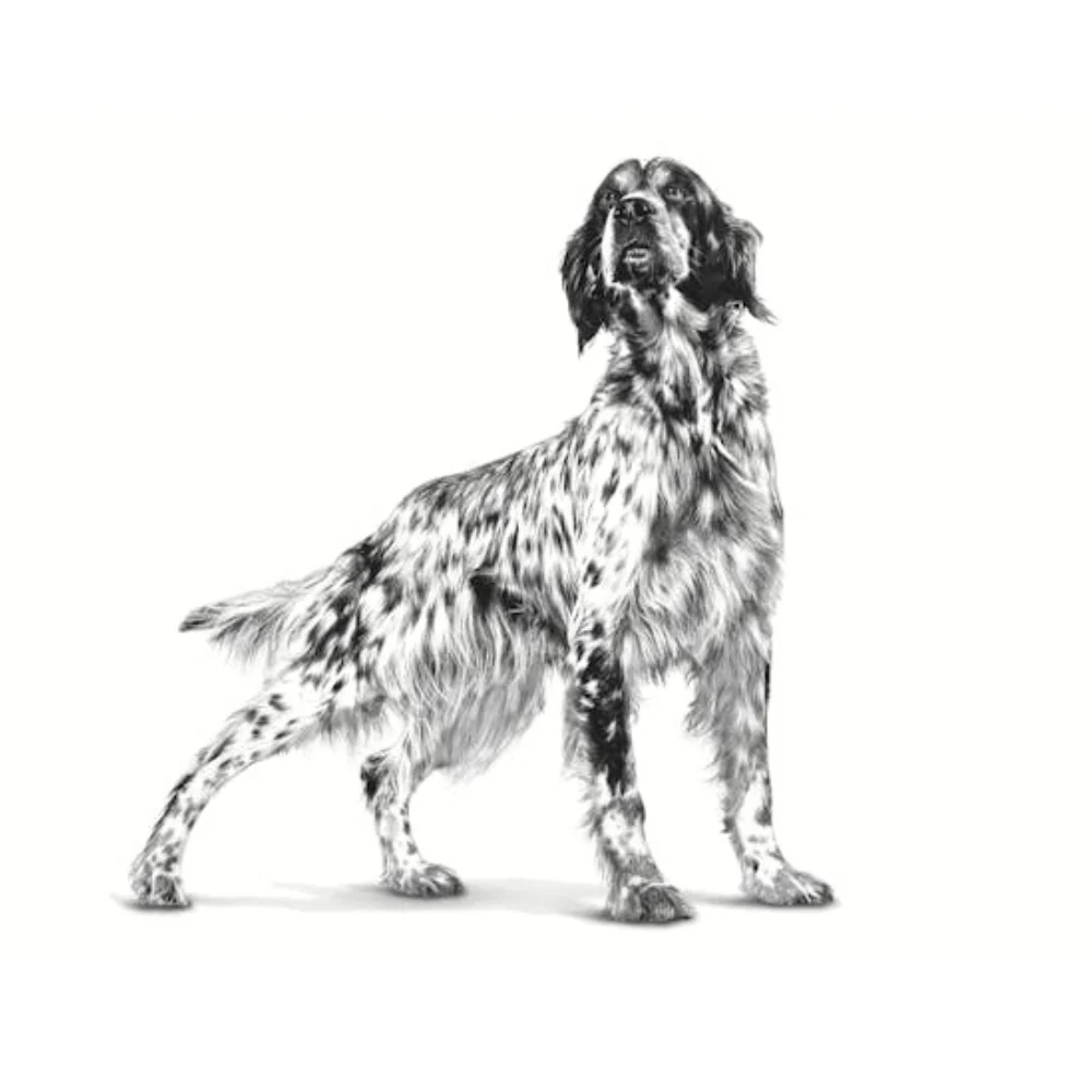 Alimento para perro Royal Canin Renal Support - Image 2