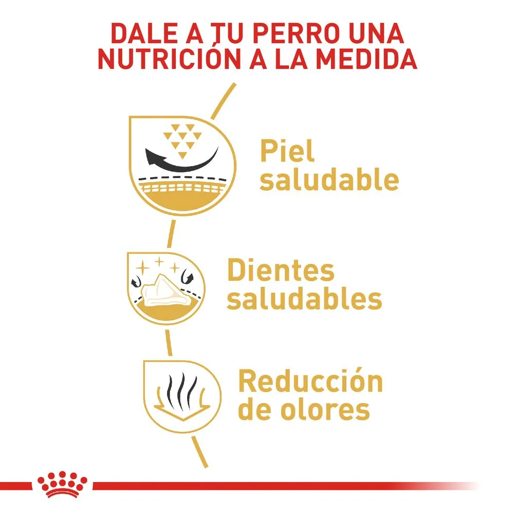 Alimento para perro Royal Canin Shih Tzu Especial Pack - Image 3