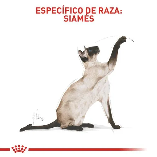 Alimento para gato Royal Canin Siames - Image 3