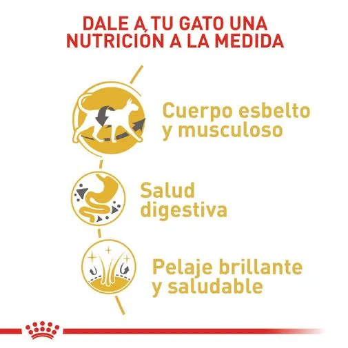 Alimento para gato Royal Canin Siames - Image 4