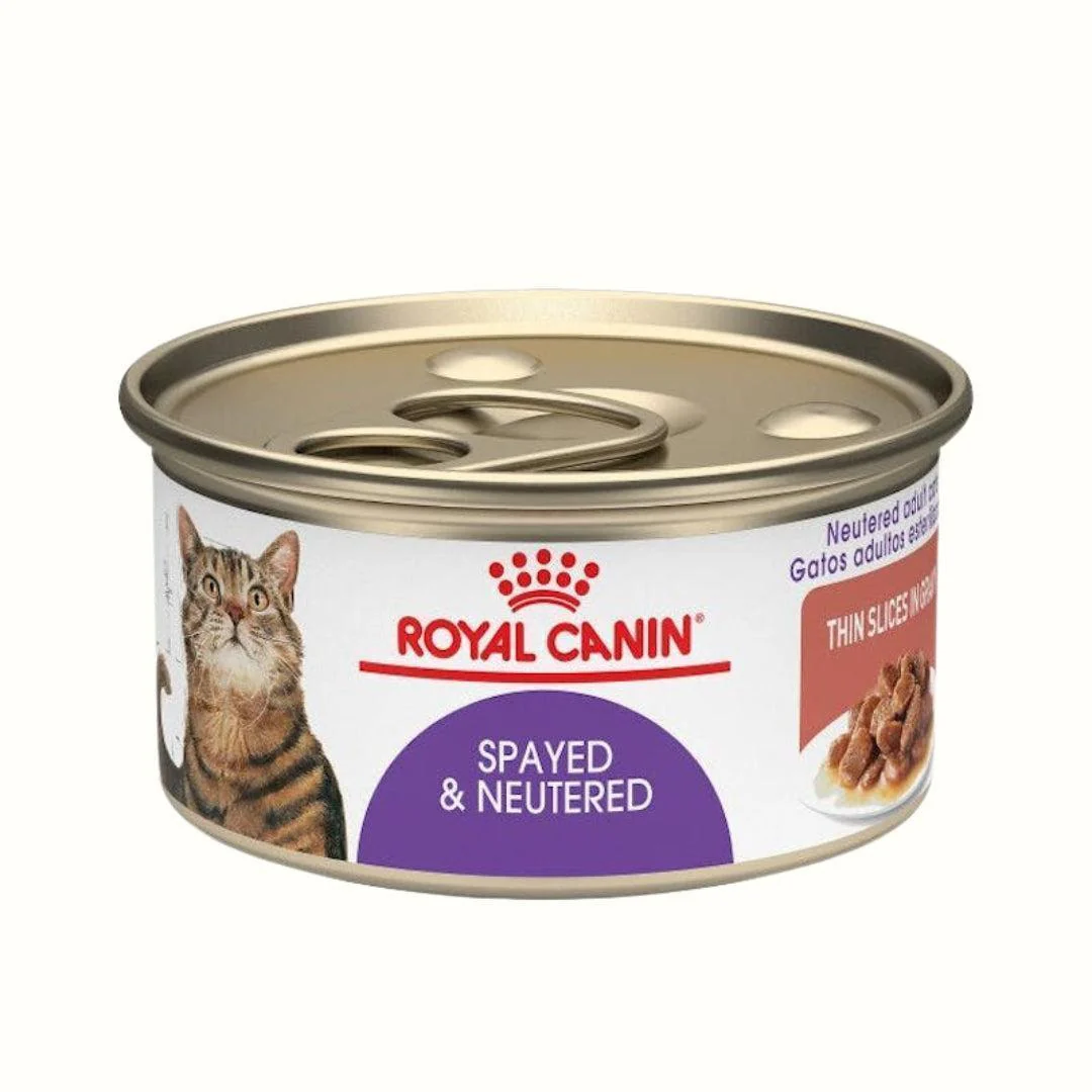 Alimento Húmedo Royal canin Spayed & Neutered para Gato Lata