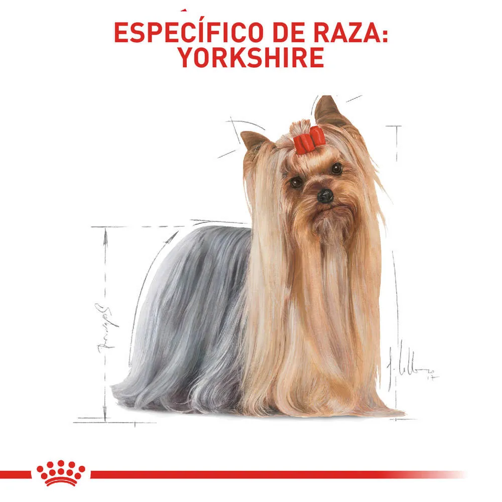 Alimento para perro Royal Canin Yorkshire Terrier - Image 3