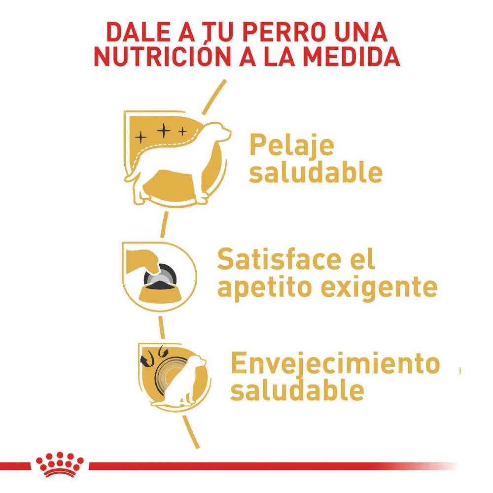 Alimento para perro Royal Canin Yorkshire Terrier - Image 4