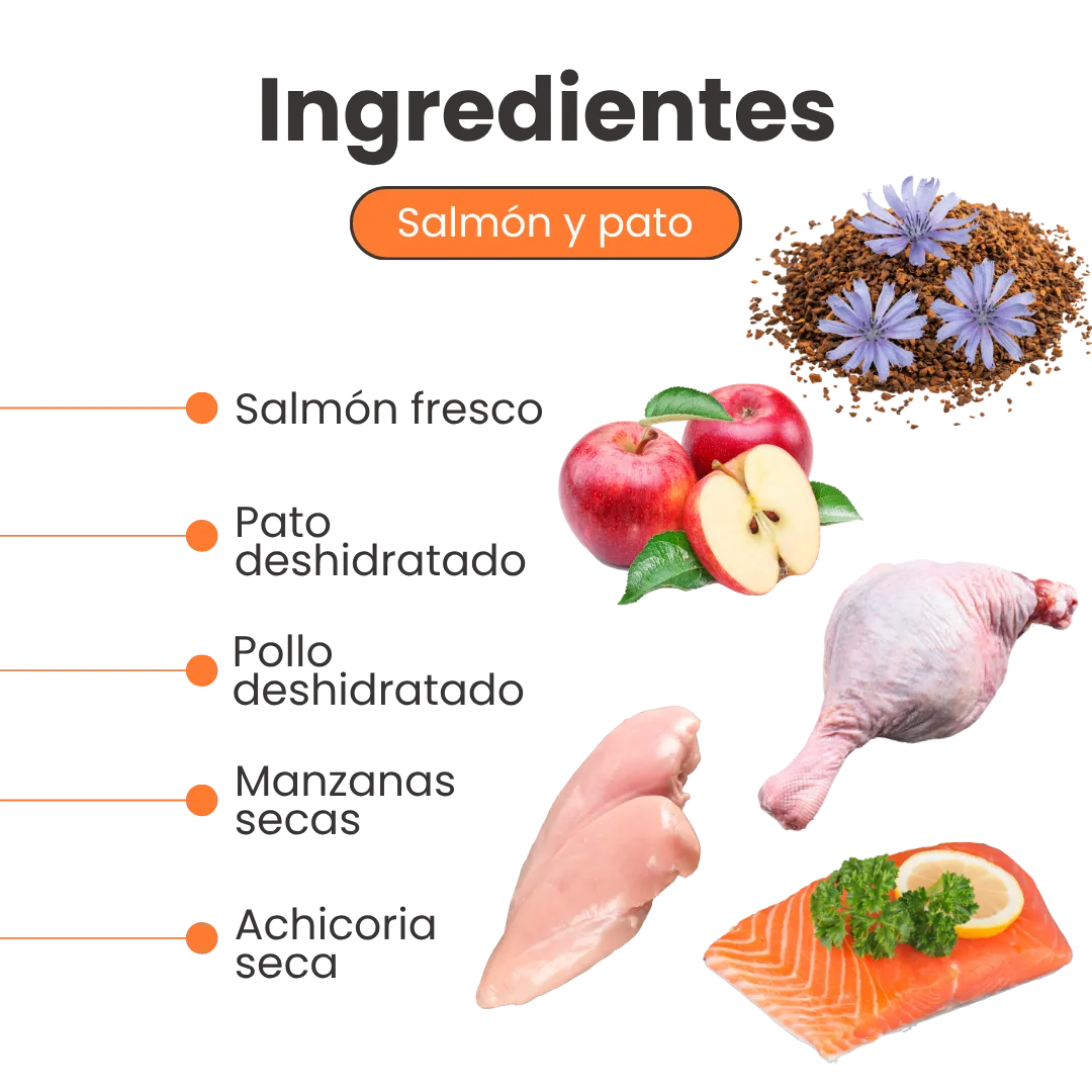 Alimento Seco Nativo Bites Salmón Pato y Pollo Kanu Pet para Gato Adulto - Image 3