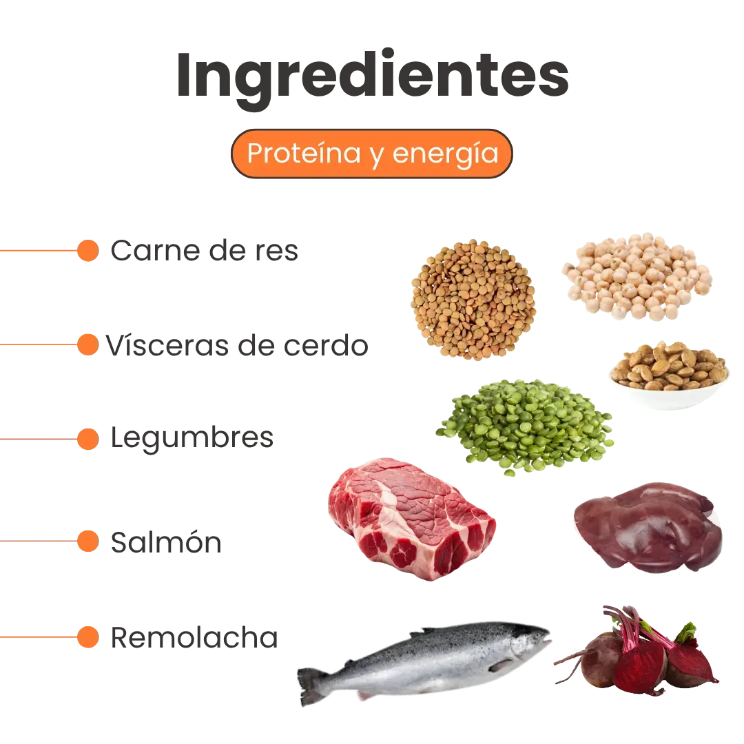 Alimento Horneado Nativo K-booster Carne / Cerdo / Salmón Kanu Pet para Perros Cachorros y Adultos - Image 3