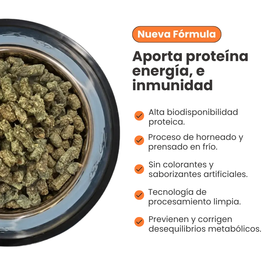 Alimento Horneado Nativo K-booster Carne / Cerdo / Salmón Kanu Pet para Perros Cachorros y Adultos - Image 6