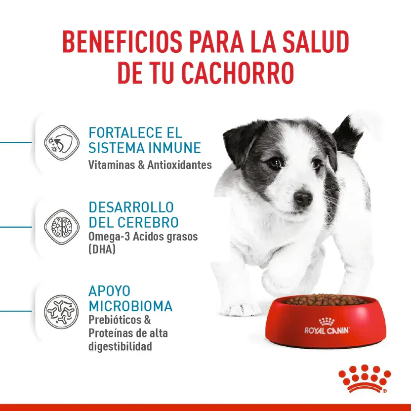 Alimento Seco Royal Canin Mani Puppy + 3 Lata Especial Pack Para Perro Cachorro - Image 4