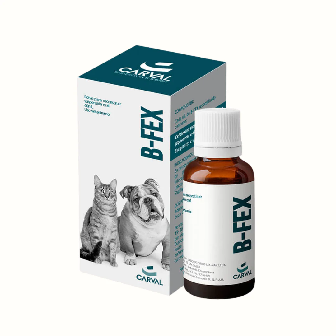 Antibiótico B-Fex Suspensión Oral 50 mg para Perros y Gatos