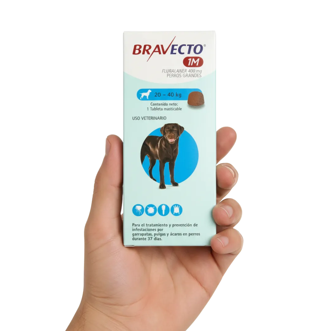 Antipulgas Bravecto 1-Mes Comprimido 20-40 kg para Perros - Image 2