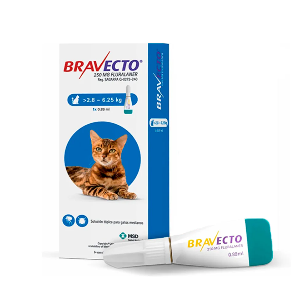 Antipulgas tópico Bravecto solución 2.8-6.25 kg para Gatos