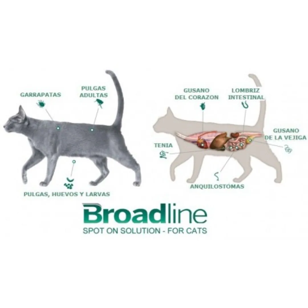 Antipulgas Broadline spot-on 0,6-2,5 kg para Gatos - Image 2