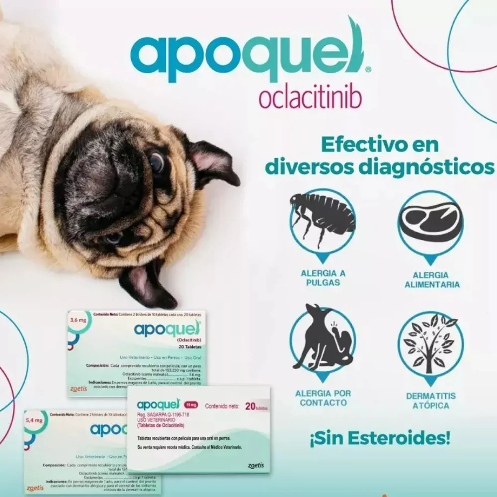 Antialérgico / antipruriginoso Apoquel 10 tabletas para Perro - Image 4