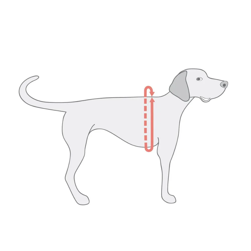 Arnes Easy Fit Mesh Camuflado Verde Para Perro - Image 2