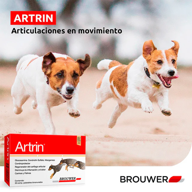 Artrin Brouwer x 30 Comp para todos - Image 3