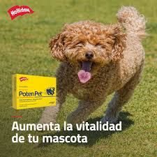 Suplemento Vitamínico Poten Pet para Perros Y Gatos - Image 3