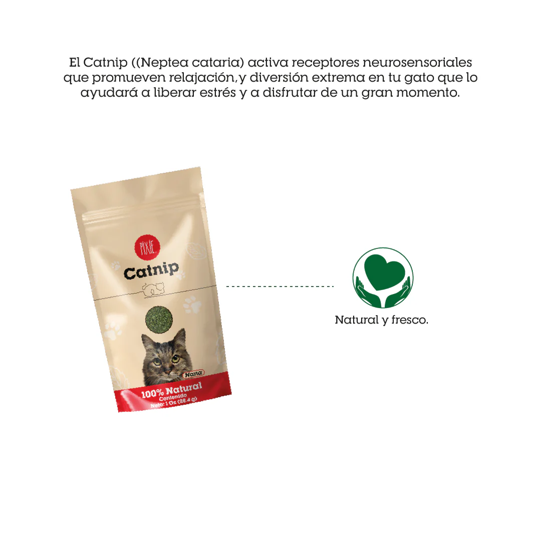 Catnip Pixie para gato - Image 3