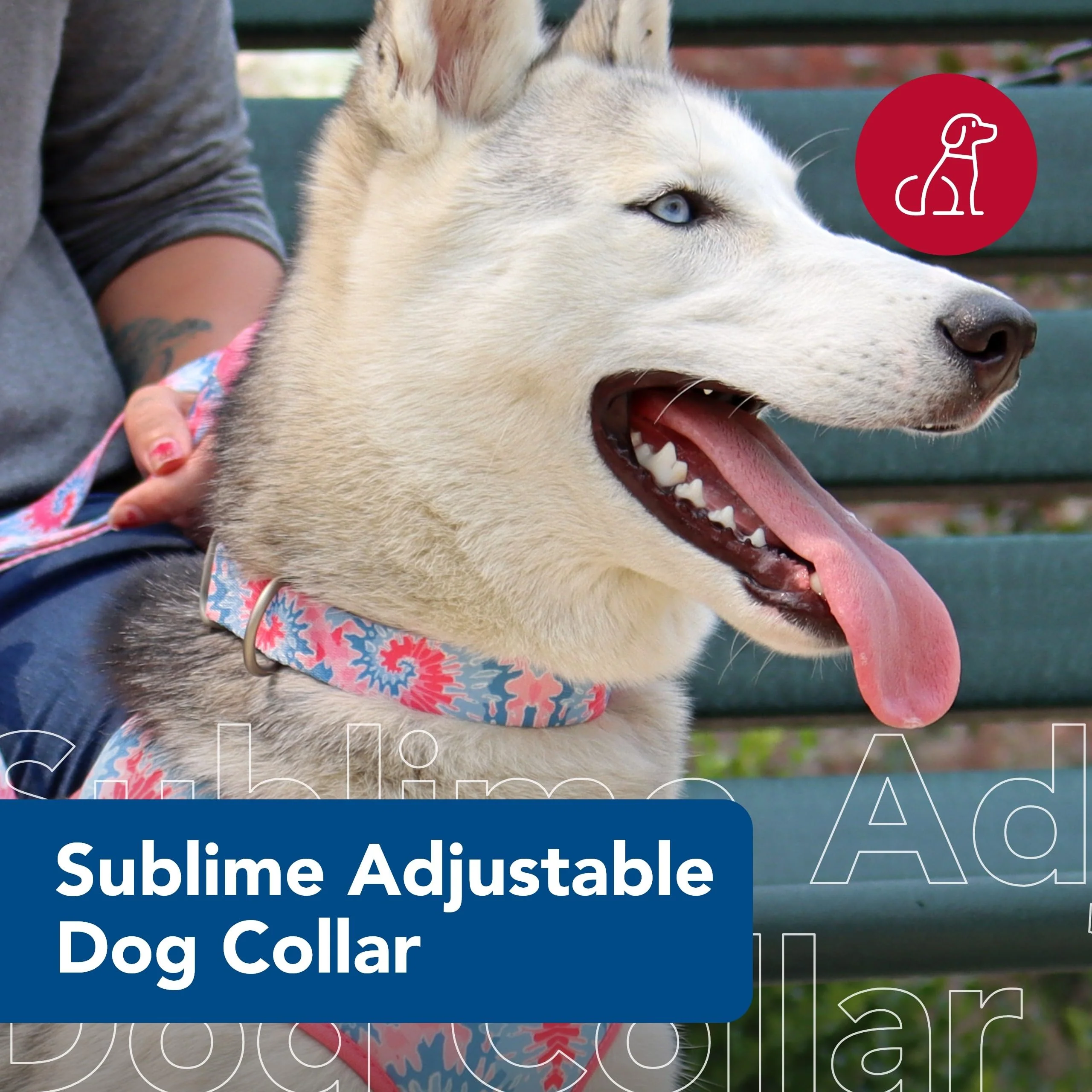 Collar Sublime Small 3/4 para perro - Image 2