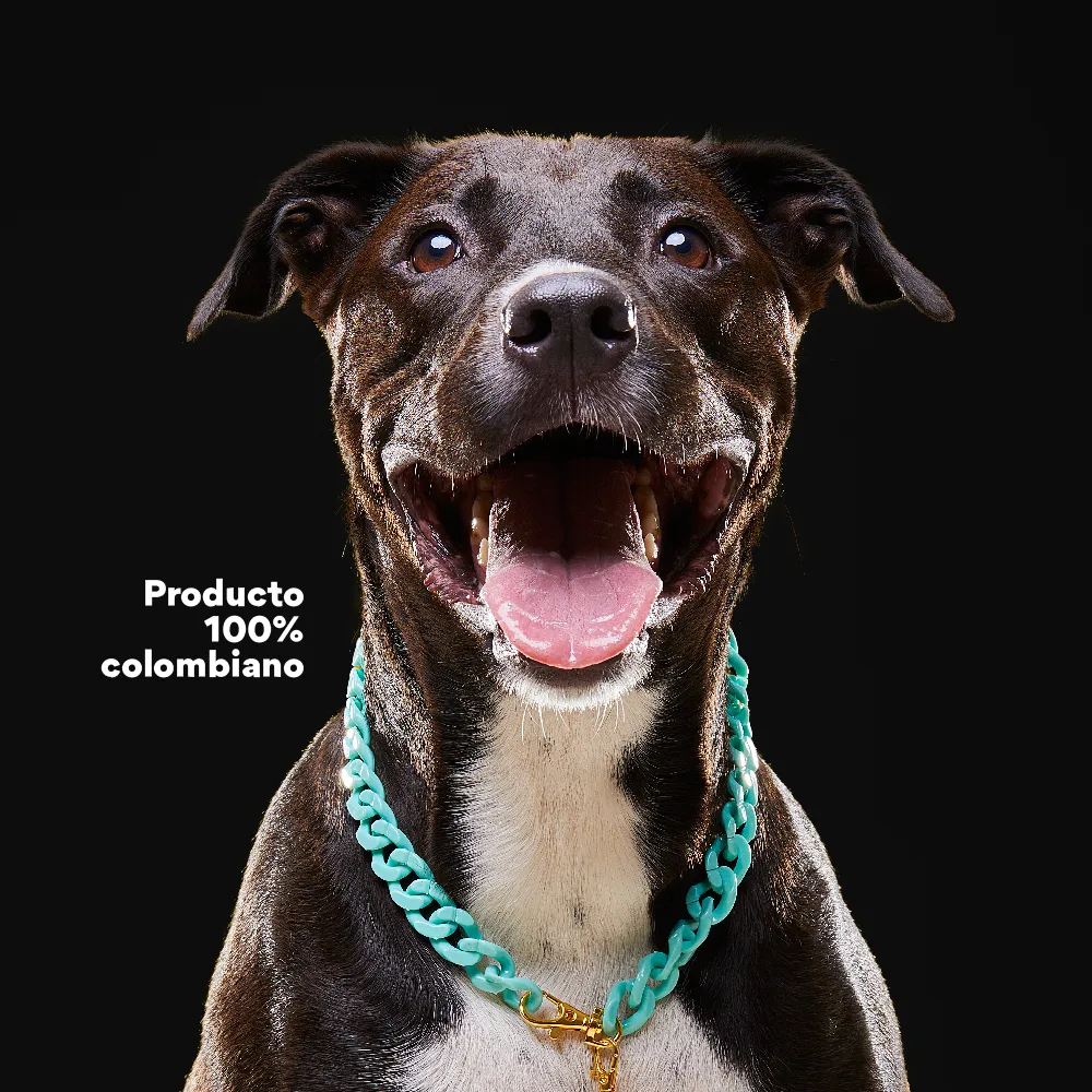 Collar Cadena Acrilica Kanu Agua Marina Para Perro y Gato - Image 3