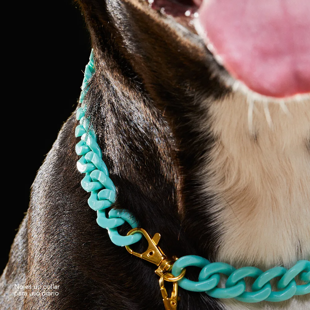 Collar Cadena Acrilica Kanu Agua Marina Para Perro y Gato - Image 4