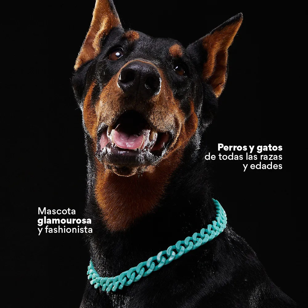 Collar Cadena Acrilica Kanu Agua Marina Para Perro y Gato - Image 5