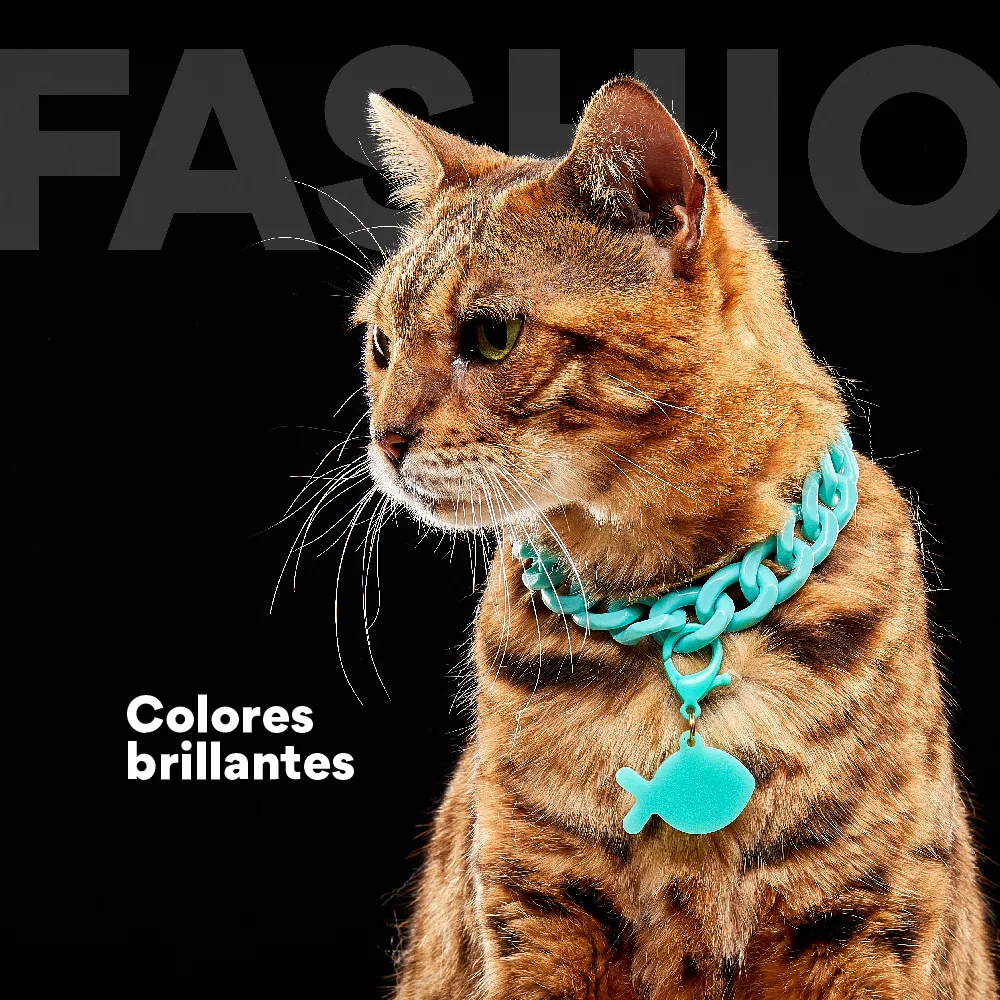 Collar Cadena Acrilica Kanu Agua Marina Para Perro y Gato - Image 6