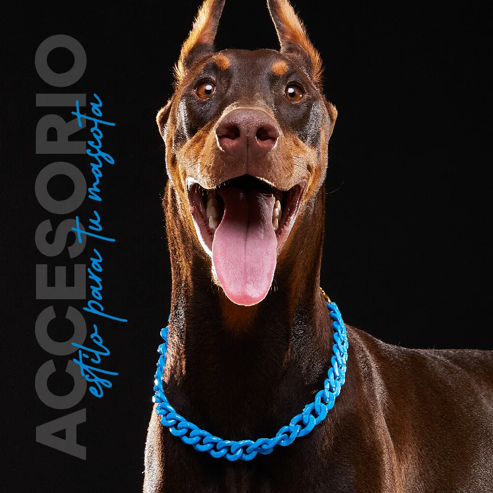 Collar Cadena Acrilica Kanu Pet Azul Para Perro y Gato - Image 4