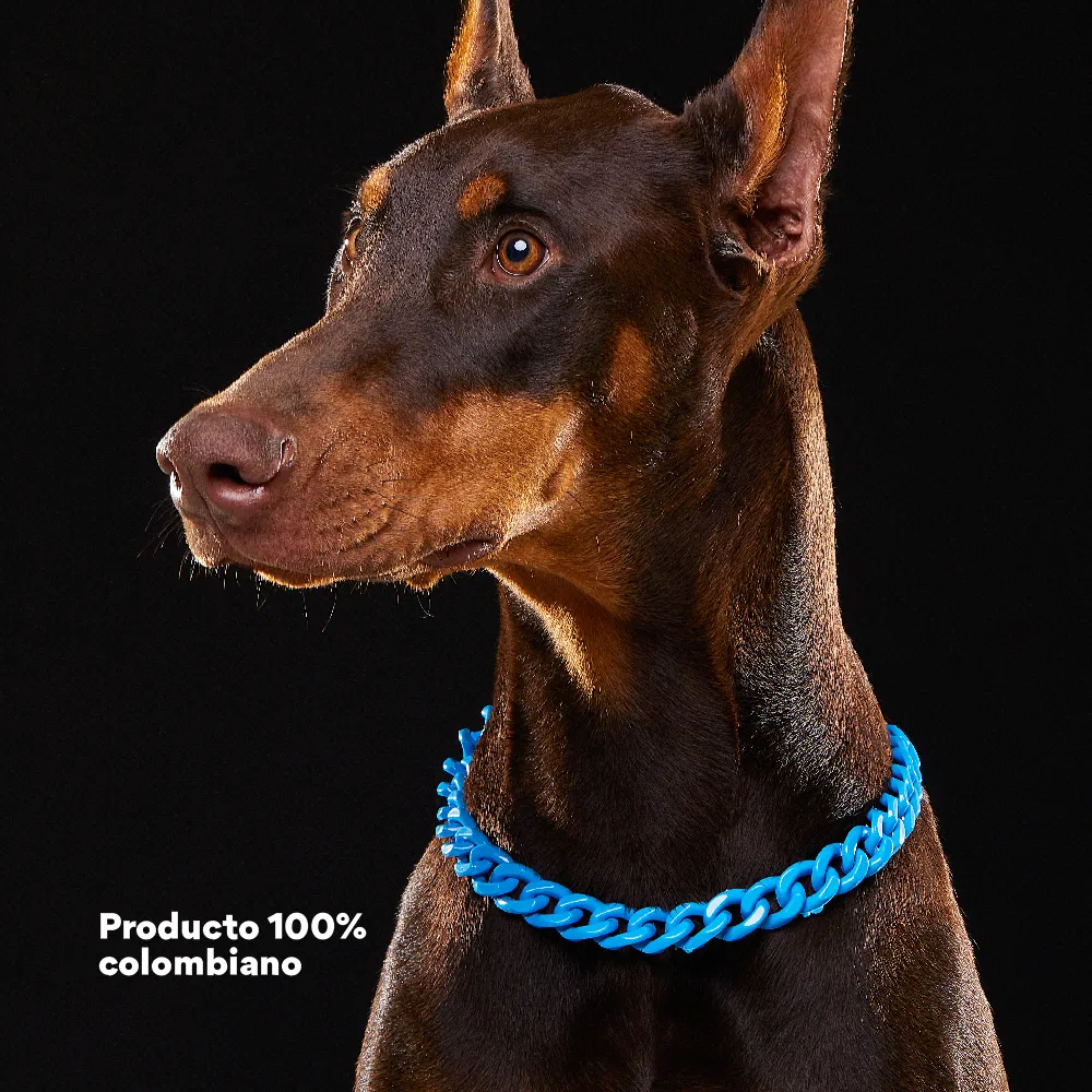 Collar Cadena Acrilica Kanu Pet Azul Para Perro y Gato - Image 5