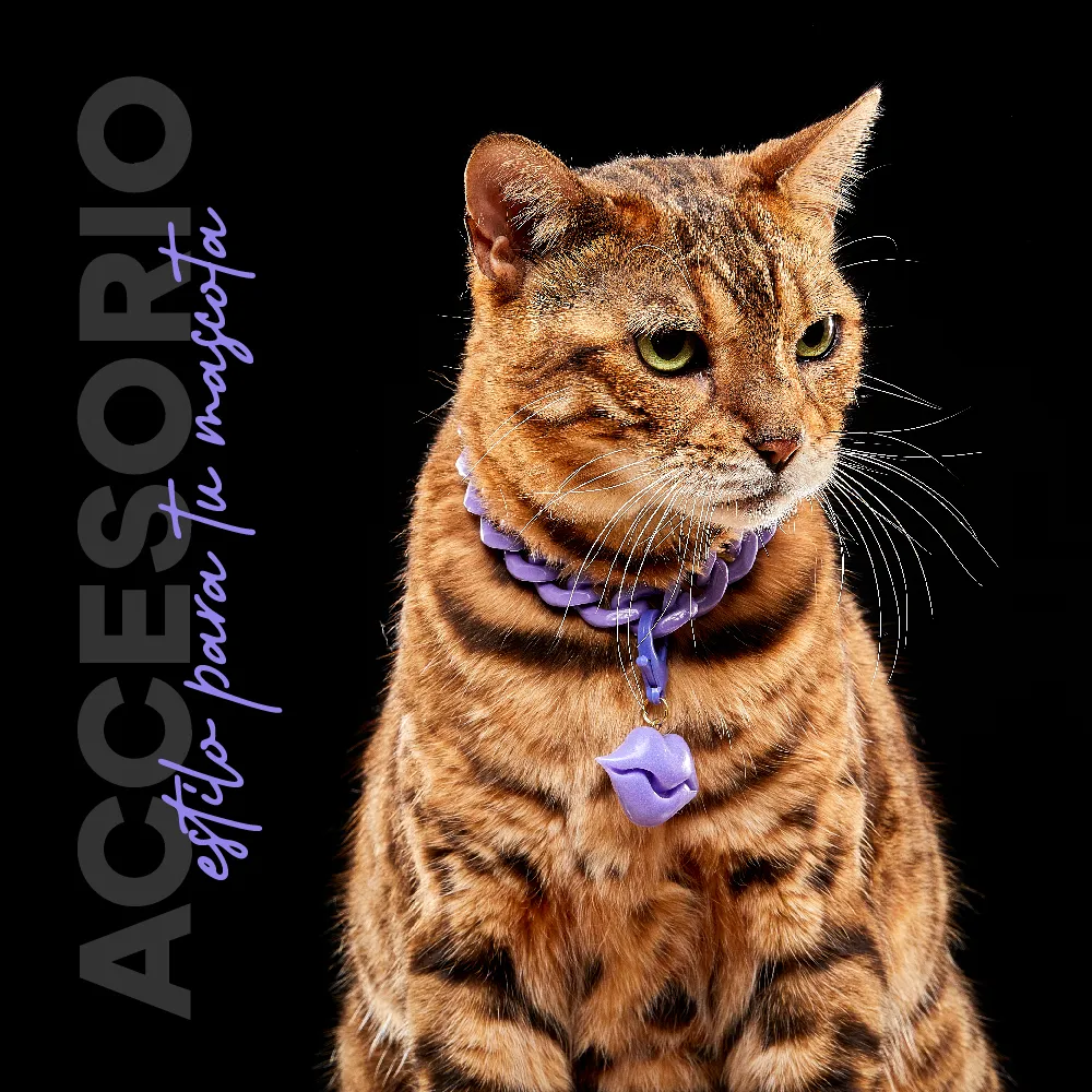 Collar Cadena Acrilica Kanu Pet Lila Para Perro y Gato - Image 4