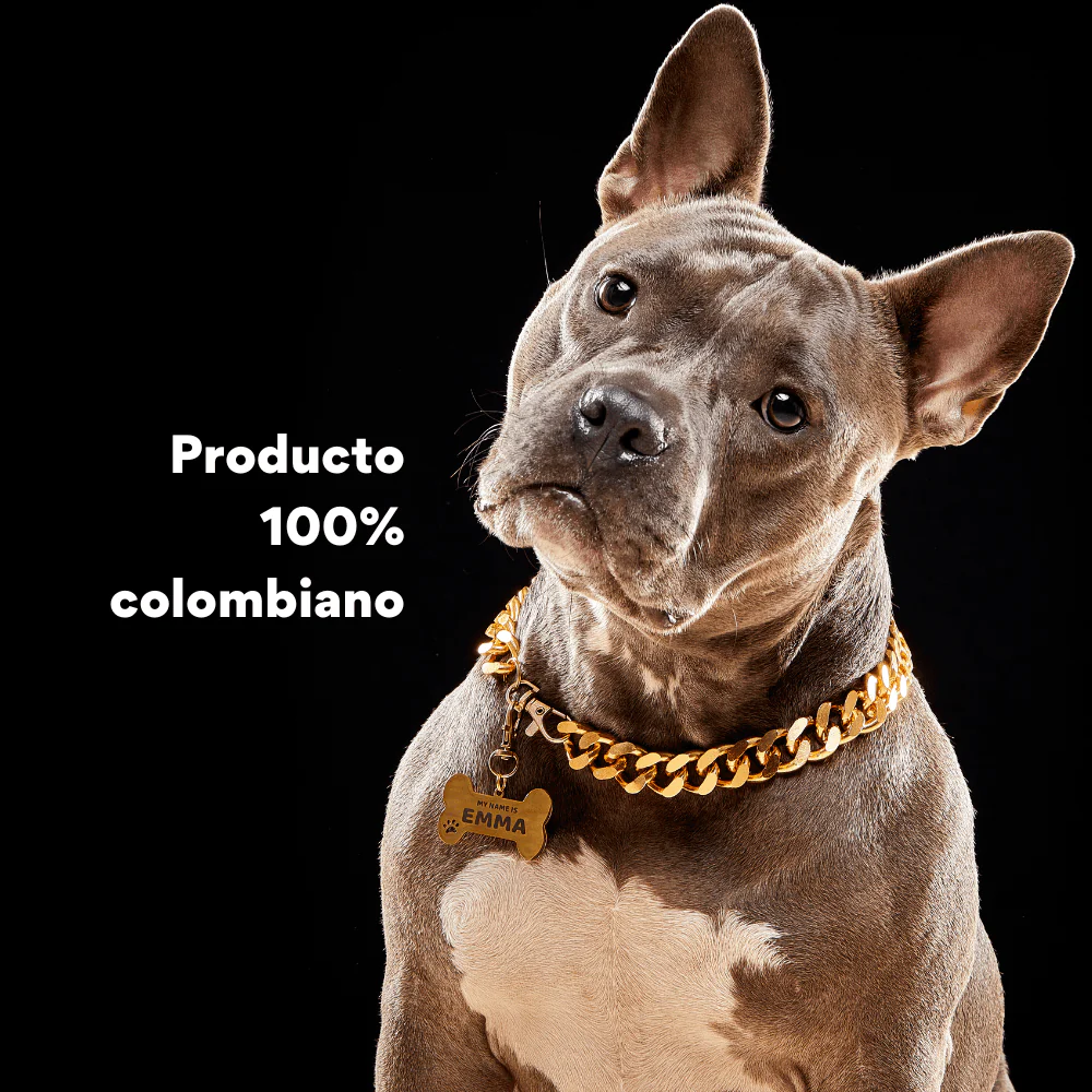 Collar Cadena Cubana Kanu Pet Dorada Para Perro y Gato - Image 5