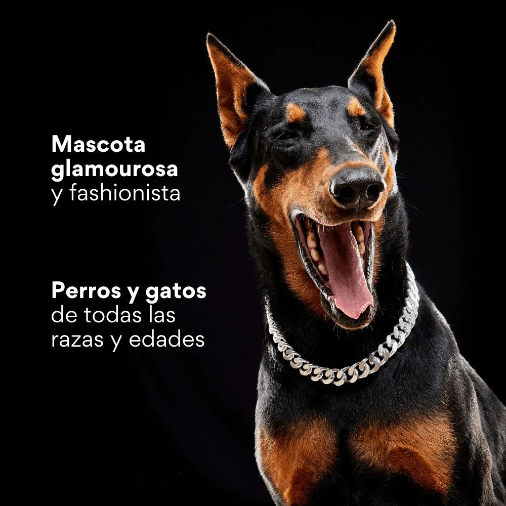 Collar Cadena Cubana Kanu Pet Plateada para Perro y Gato - Image 5
