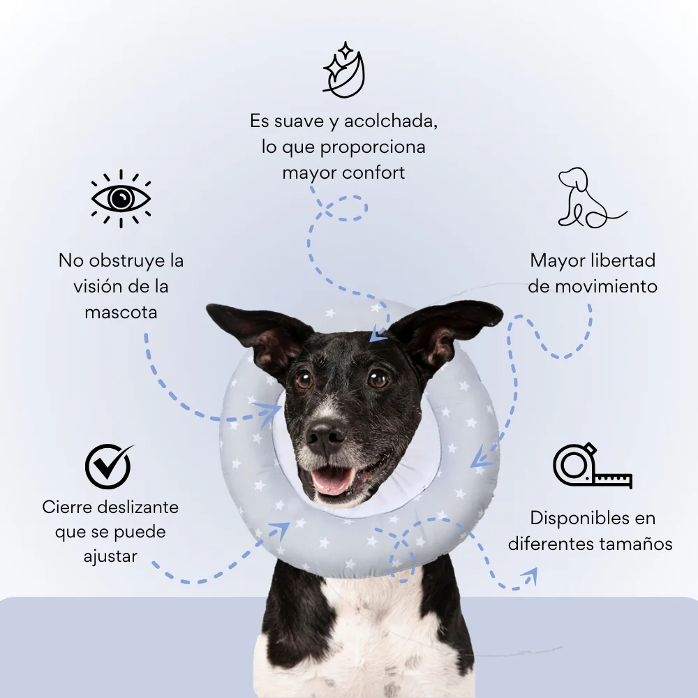 Collar Dona Isabelina Gris con Estrellas Kanu Vet Para Perro y Gato - Image 3