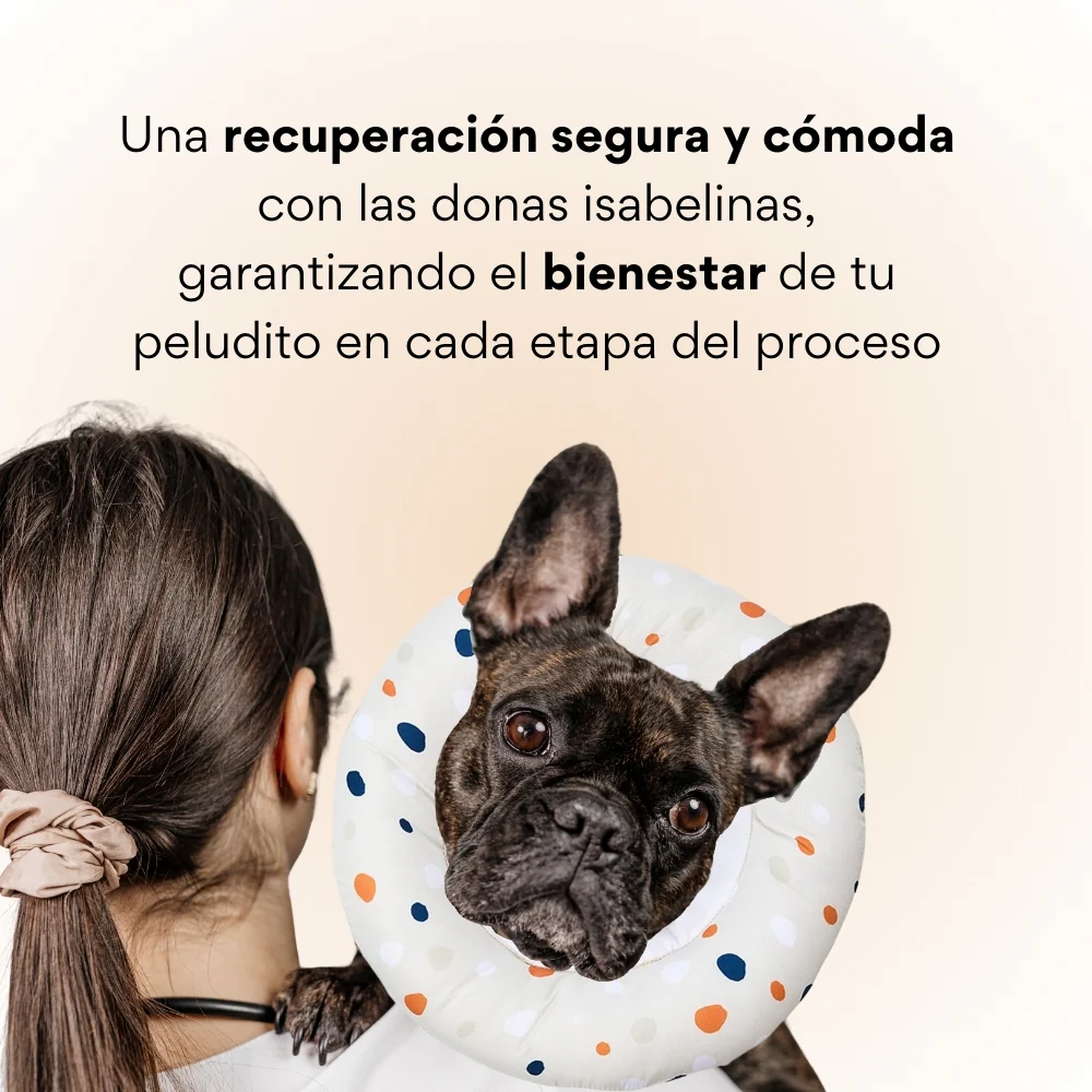 Collar Dona Isabelina Puntos de Colores Kanu Vet Para Perro y Gato - Image 3
