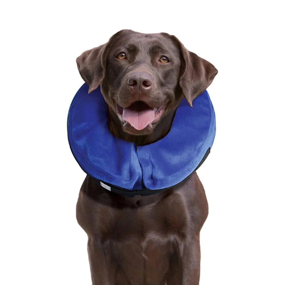 Collar Kong Para Recuperacion Perro - Image 3