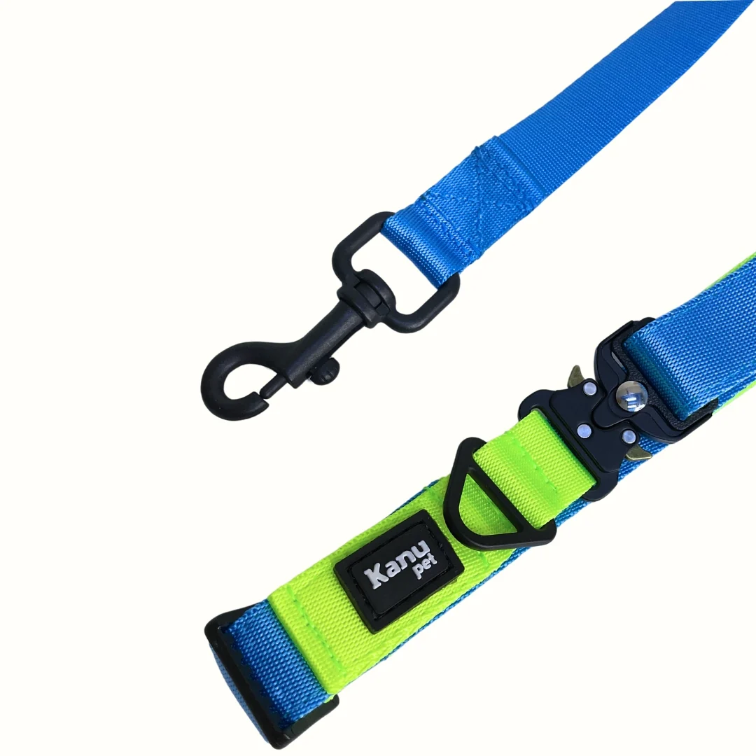 Combo Collar/Correa Azul Celeste-Verde Neón Kanu Pet para Perro - Image 2