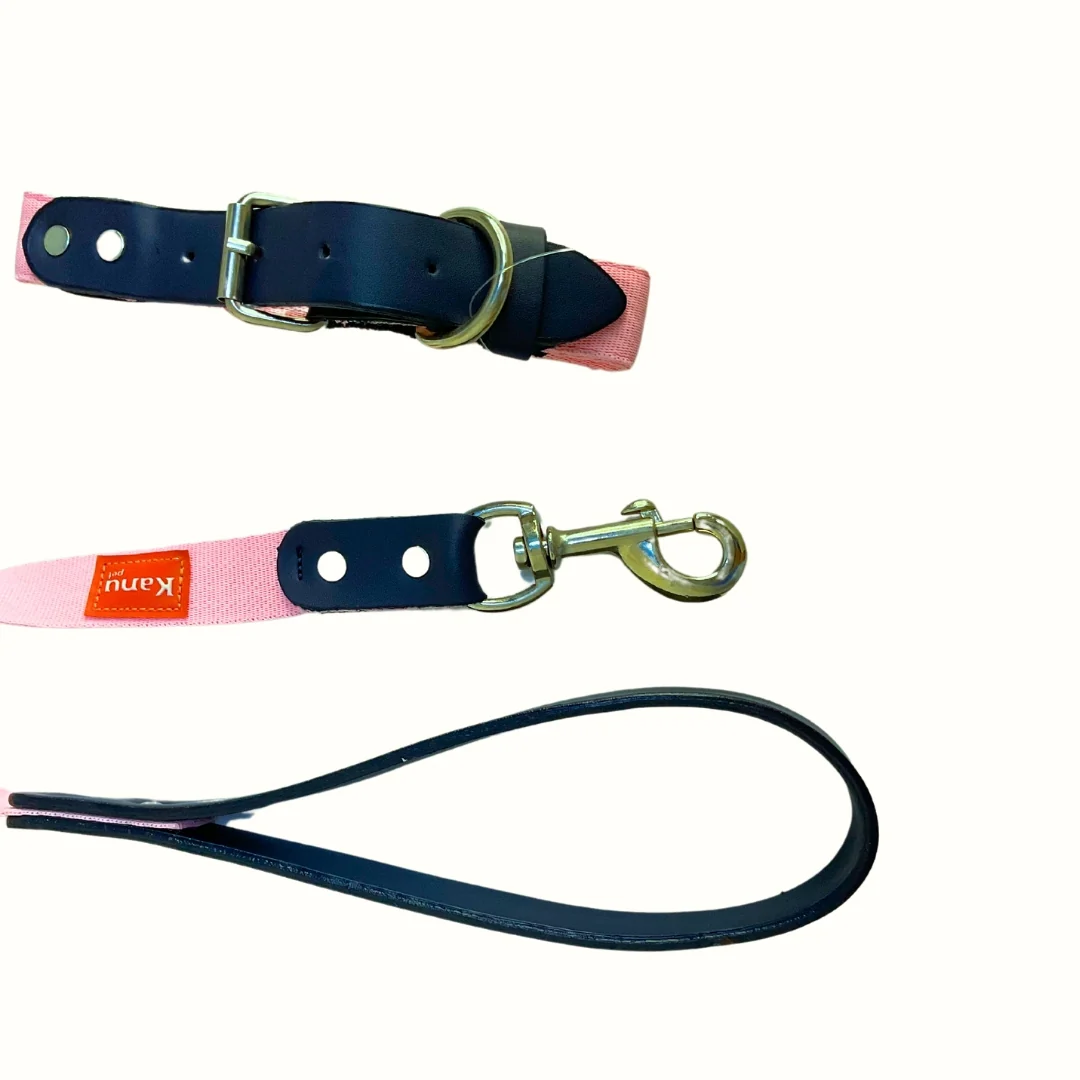 Combo Collar/Correa Vegano Rosado Kanu Pet para Perro - Image 2