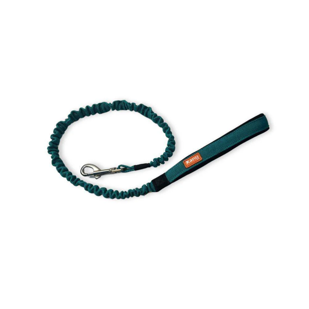Correa Anti choque Verde Jade Kanu Pet para Perro