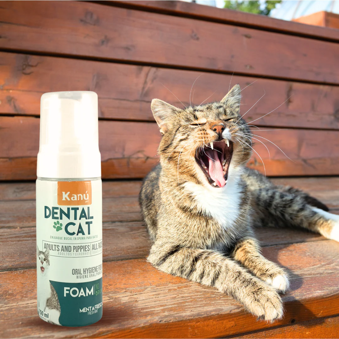 Enjuague Bucal en Espuma Menta Kanu Pet para Gato - Image 5