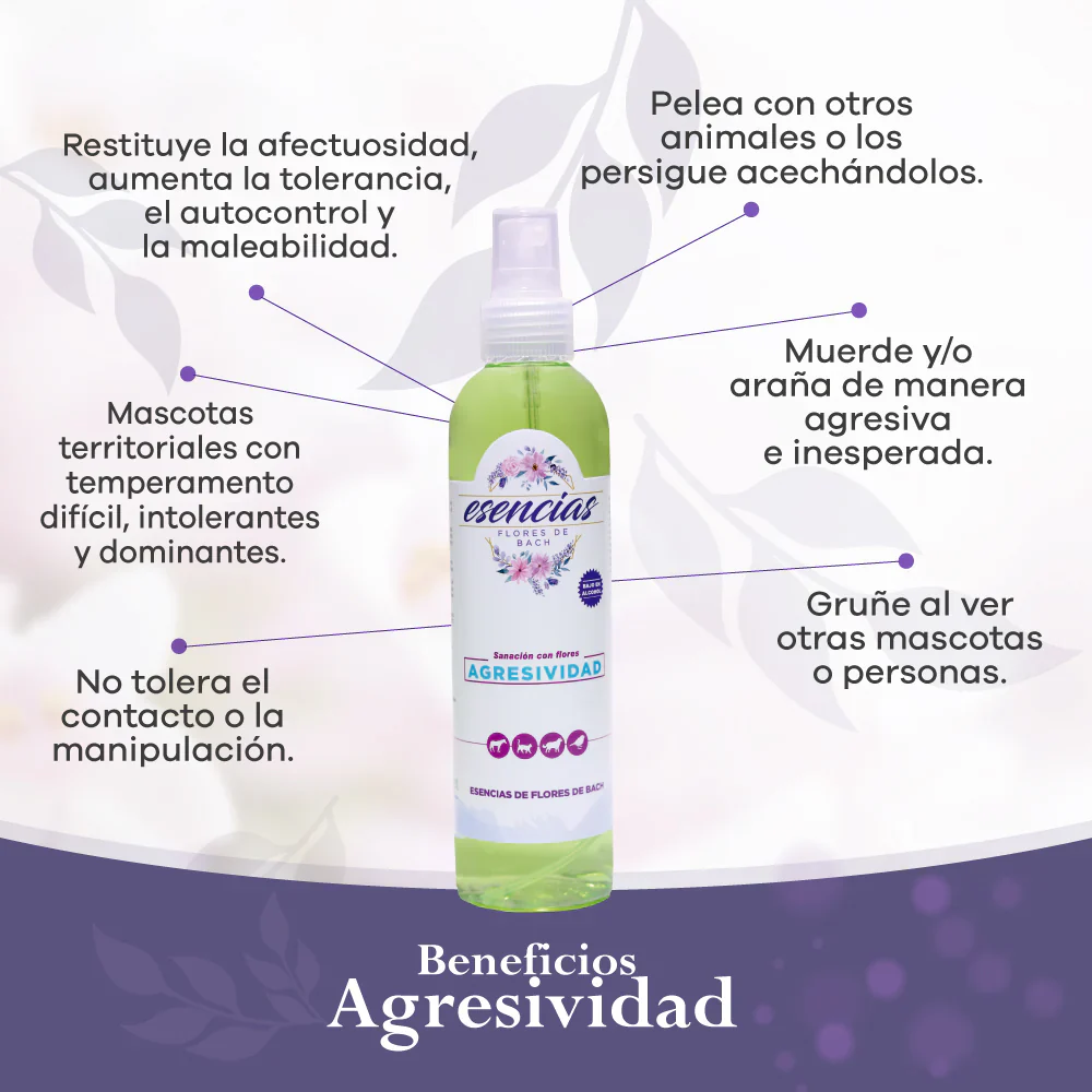 Agresividad Spray 250Ml - Image 2