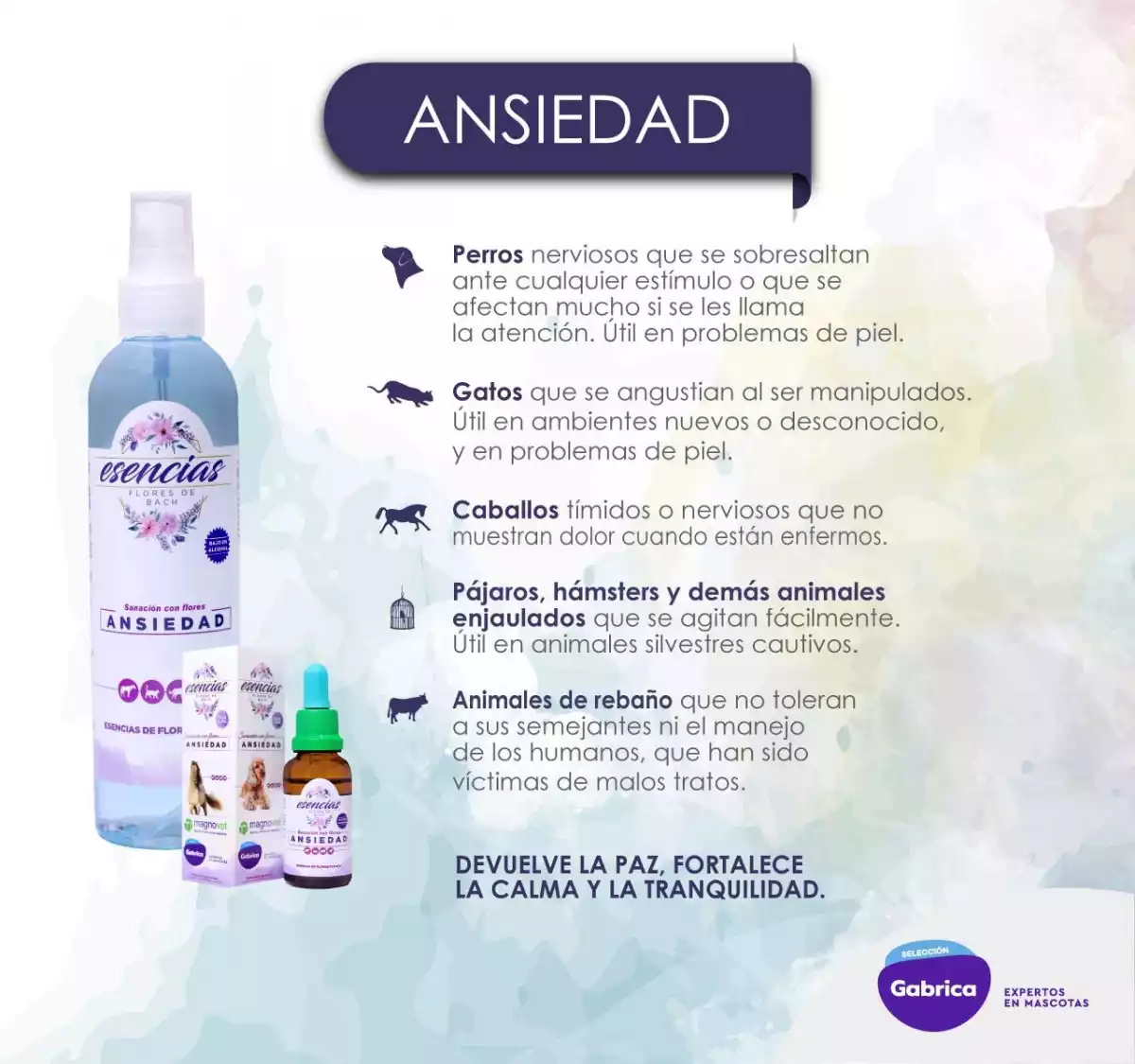 Ansiedad Spray X 250Ml para perro - Image 2